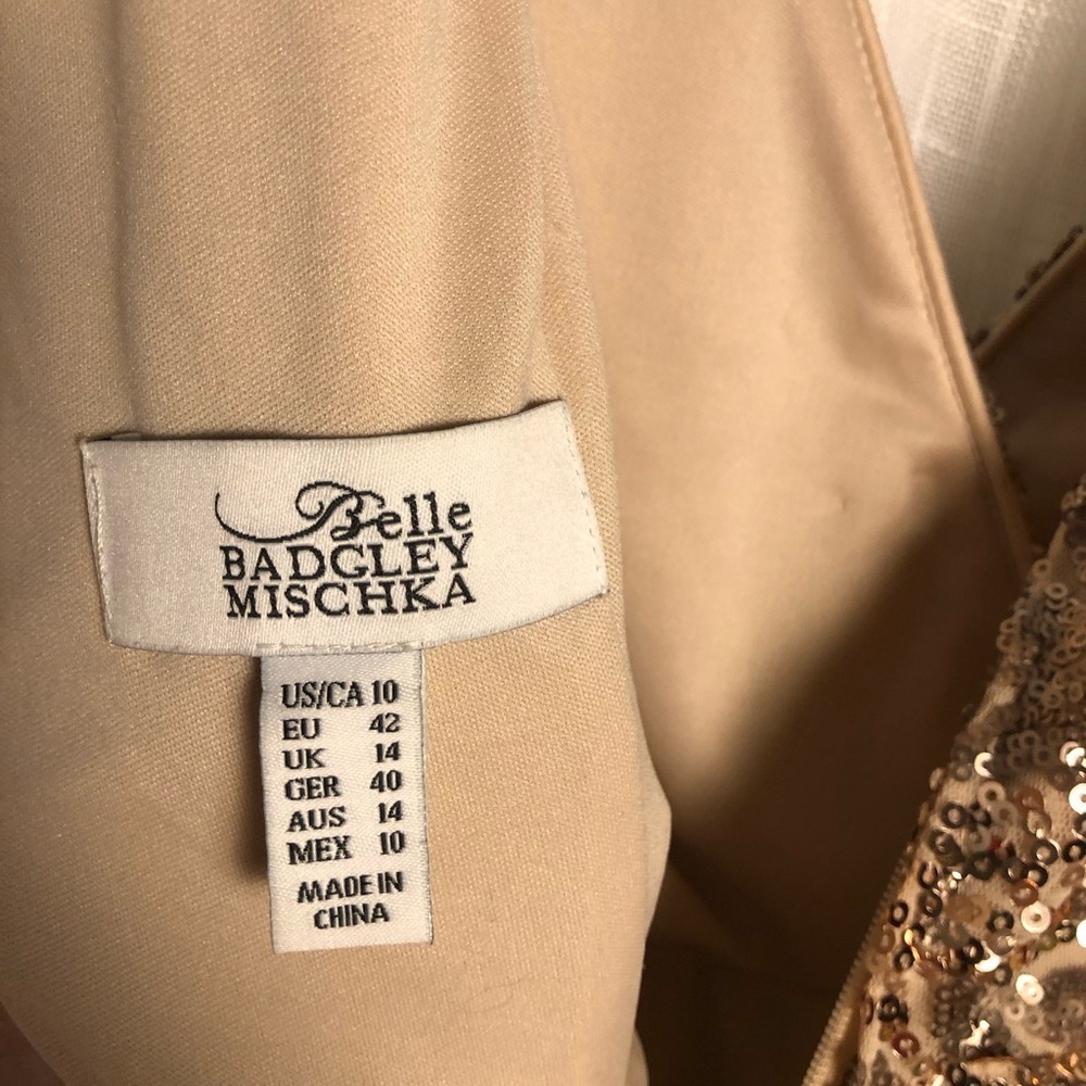 Badgley Mischka Beige and Gold Dress size 10 - Picture 13 of 16